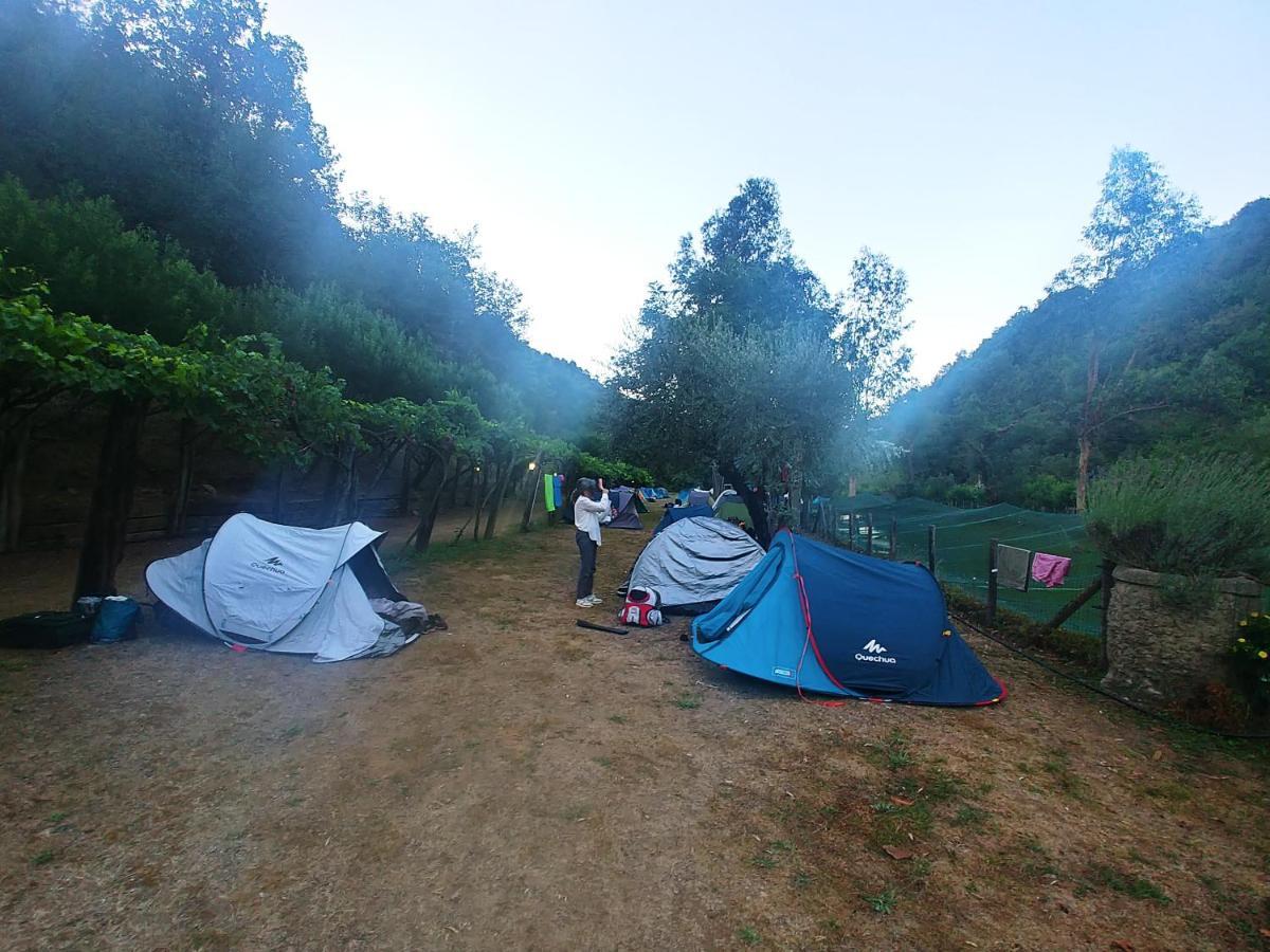 Agricamping Ponteraggio N.1 Hotel โดลเชอักกวา ภายนอก รูปภาพ