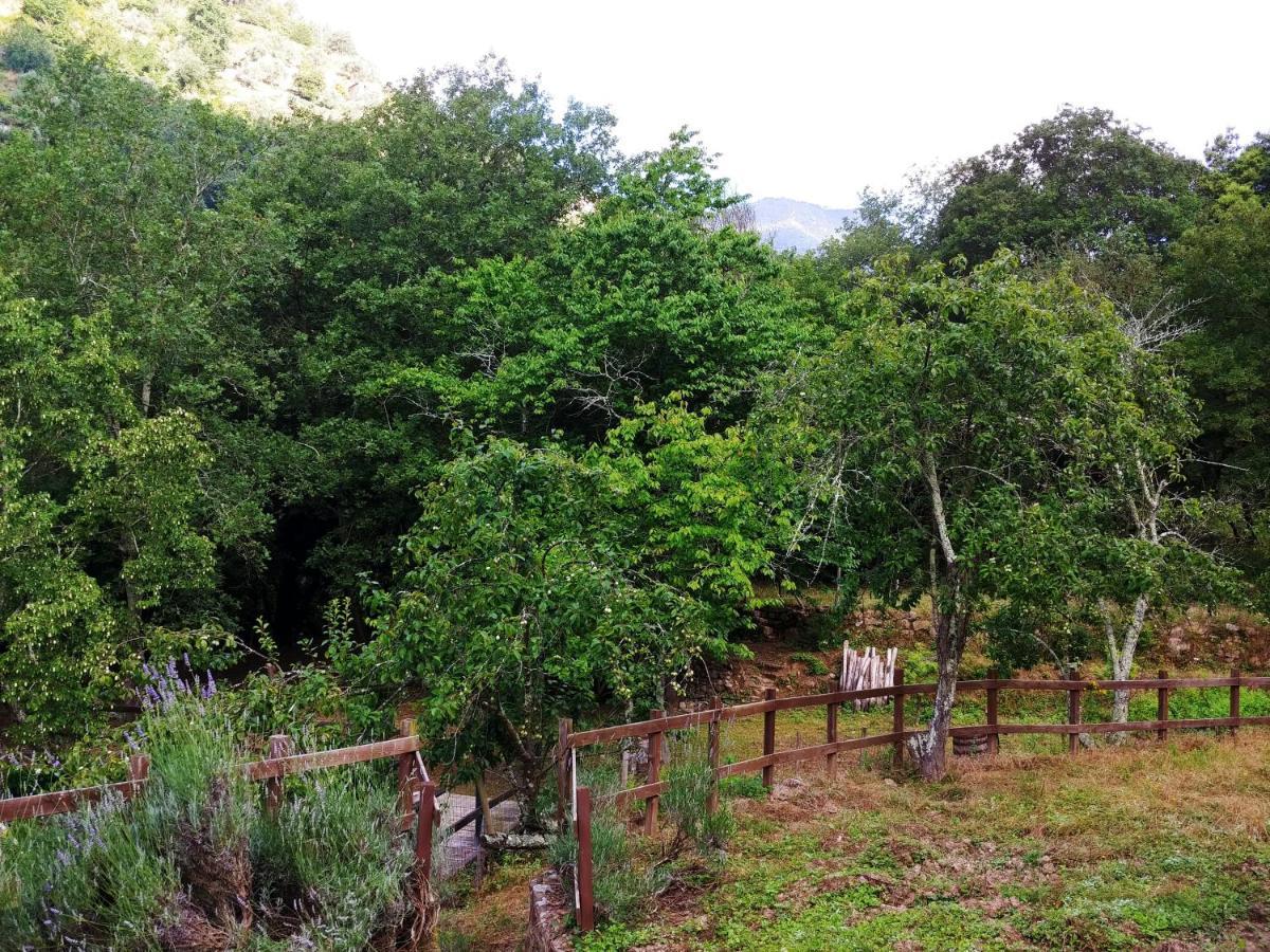 Agricamping Ponteraggio N.1 Hotel โดลเชอักกวา ภายนอก รูปภาพ