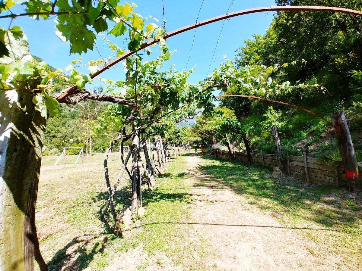 Agricamping Ponteraggio N.1 Hotel โดลเชอักกวา ภายนอก รูปภาพ