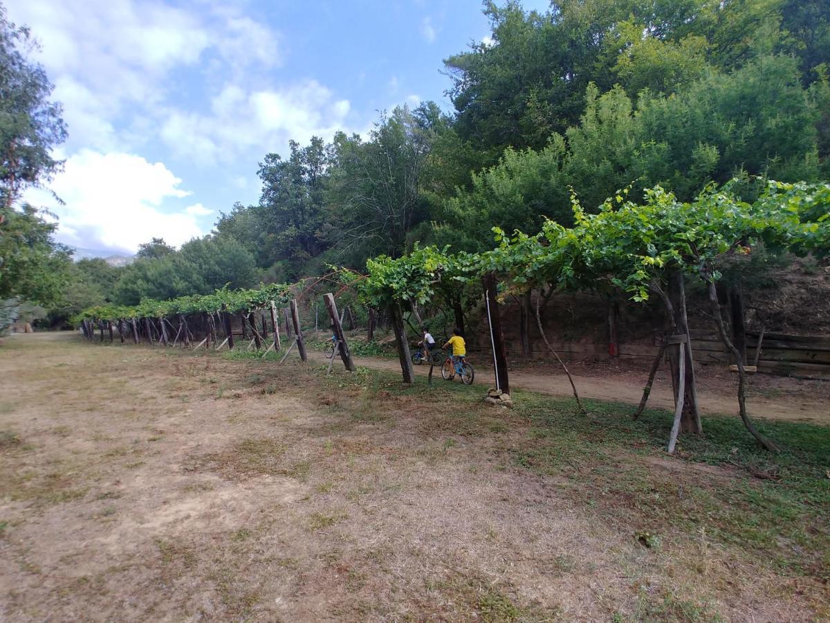 Agricamping Ponteraggio N.1 Hotel โดลเชอักกวา ภายนอก รูปภาพ