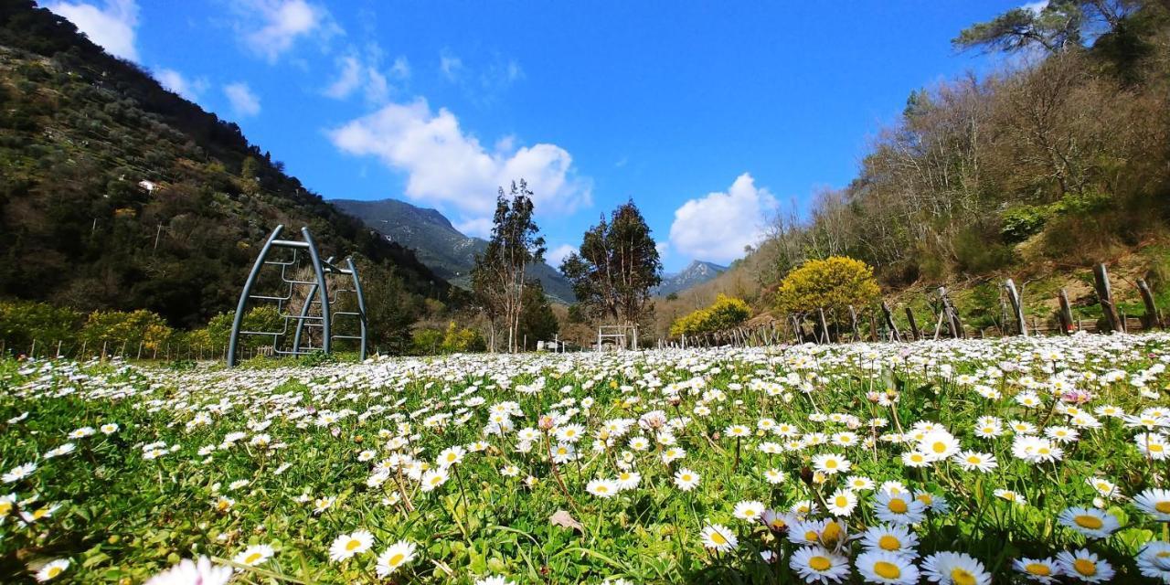 Agricamping Ponteraggio N.1 Hotel โดลเชอักกวา ภายนอก รูปภาพ