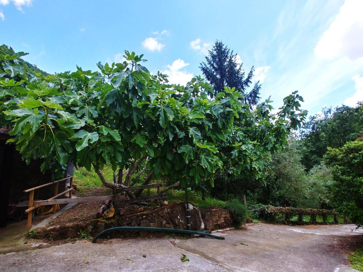 Agricamping Ponteraggio N.1 Hotel โดลเชอักกวา ภายนอก รูปภาพ