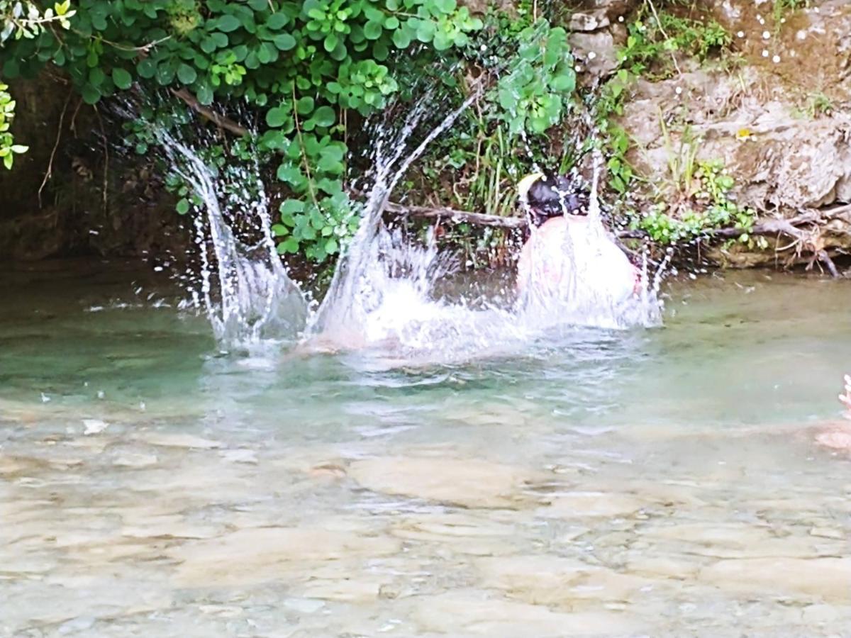 Agricamping Ponteraggio N.1 Hotel โดลเชอักกวา ภายนอก รูปภาพ